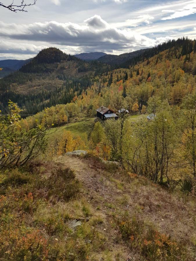 Leilighet I Amotsdal Luaran gambar