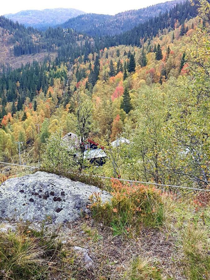 Leilighet I Amotsdal Luaran gambar